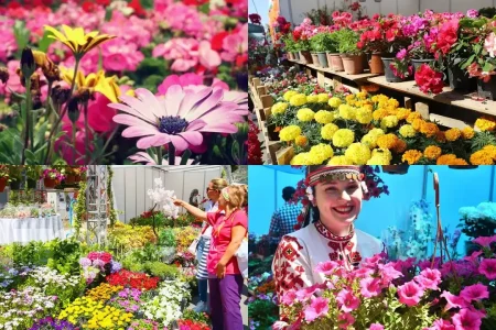 1-3 MAYIS BAYINDIR ÇİÇEK FESTİVALİ TURU 1 GECE KONAKLAMALI