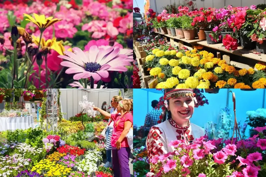 1-3 MAYIS BAYINDIR ÇİÇEK FESTİVALİ TURU 1 GECE KONAKLAMALI